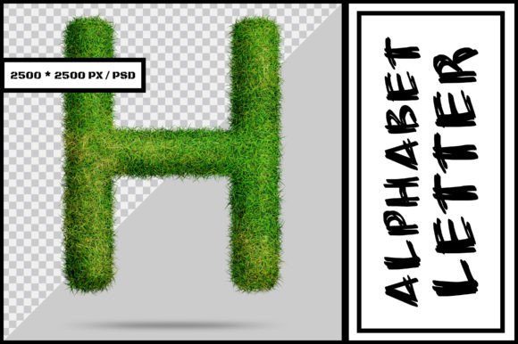 Alphabet Letter H with Grass Style: A Practical Guide for Modern Workflows